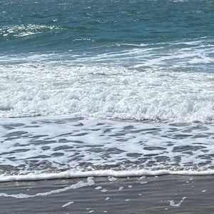 Meet your Posher, Leyser